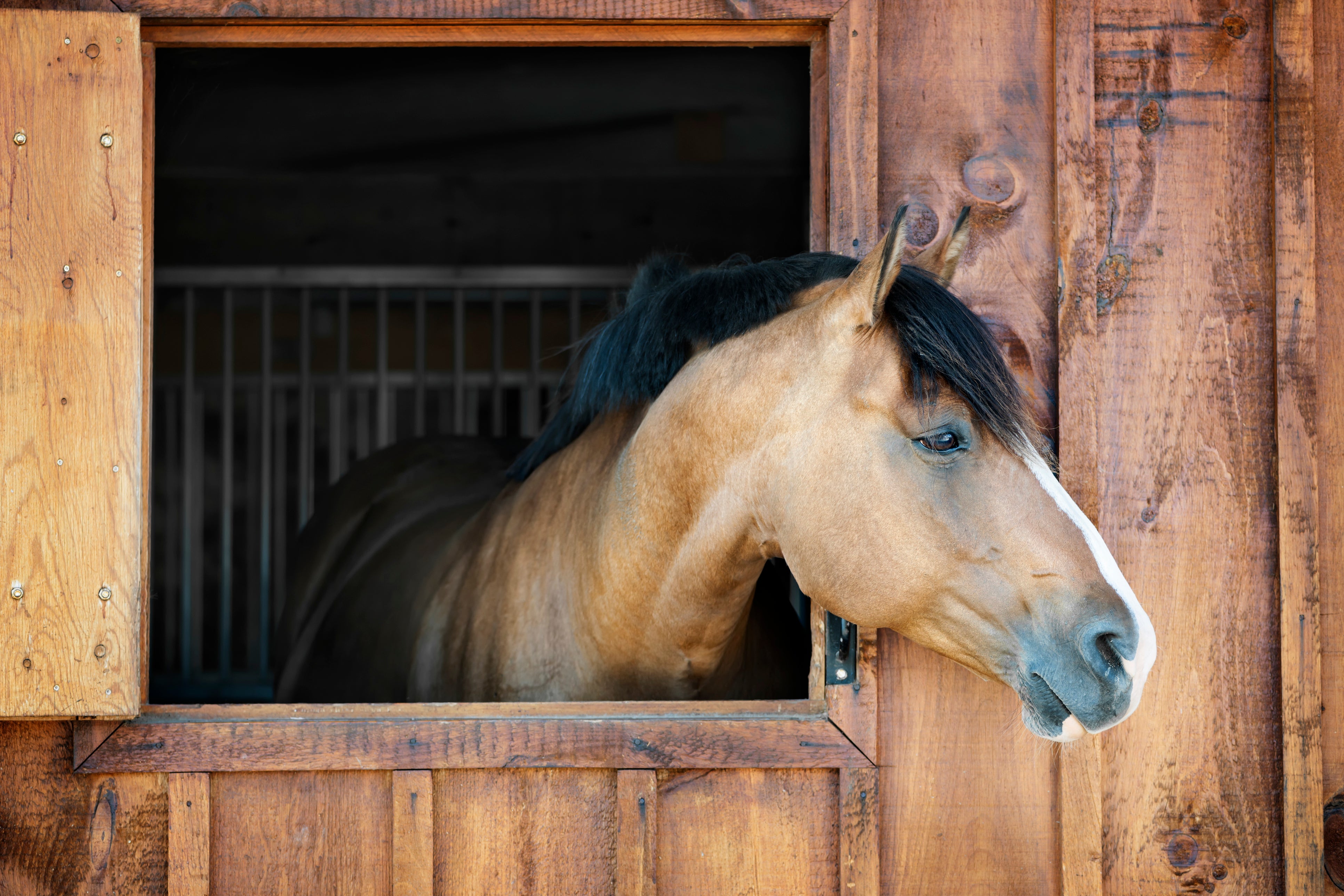 The Stables