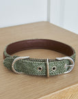 Sweet William - Dog Collar