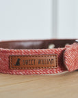 Sweet William - Dog Collar