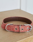 Sweet William - Dog Collar