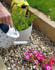 Fallen Fruits - Bee Watering Can